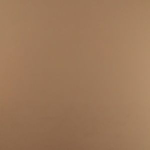 Meet your Posher, Fiston